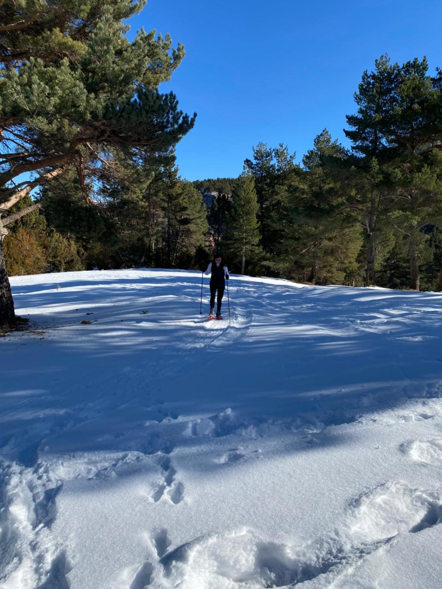 Vallcebre Cal Carol 아파트 외부 사진